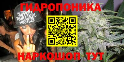 mdpv Камышлов