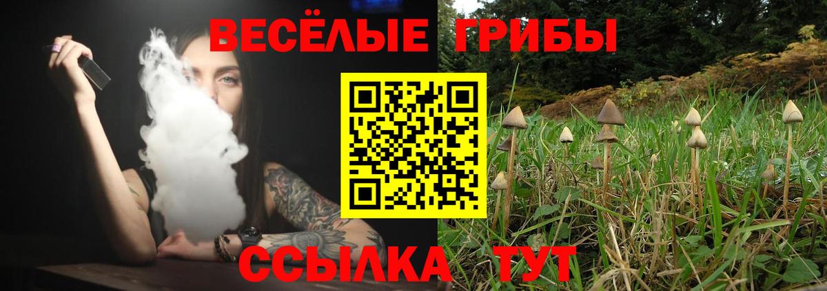 цены   Псилоцибиновые грибы Cubensis  Вход с VPN  Магадан 